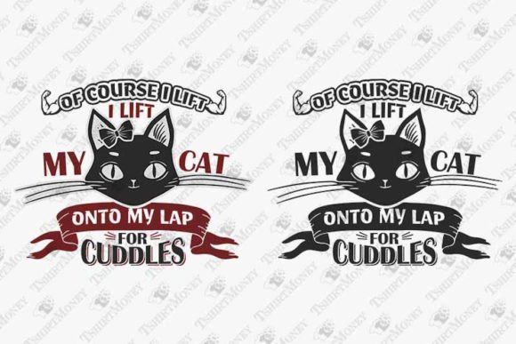 I Lift My Cat Onto My Lap for Cuddles