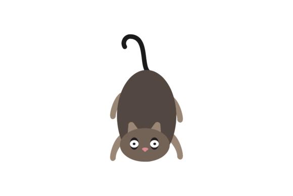 Wild Halloween Cat